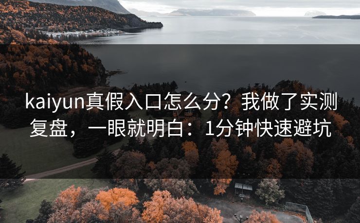 kaiyun真假入口怎么分？我做了实测复盘，一眼就明白：1分钟快速避坑