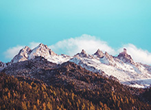 齐达内和新闻官对视那一下太怪，到底谁在带节奏：49tk那张表给了答案