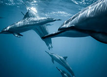 别急着搜爱游戏官方网站，先做这一步验证：看安装权限提示：30秒快速避坑