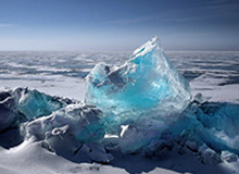 先别填 爱游戏下载 先把这一步做对