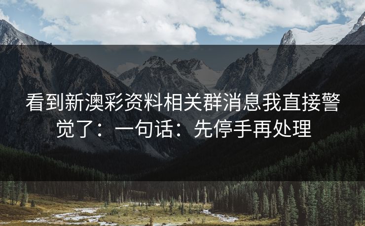 看到新澳彩资料相关群消息我直接警觉了：一句话：先停手再处理